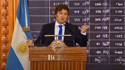 El presidente Javier Milei vetará lo votado por el Senado este jueves.