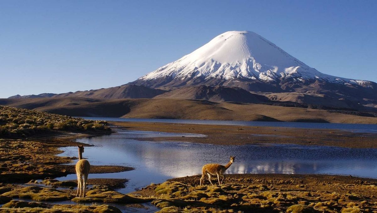 Parque Nacional Lauca en Chile. Parque Nacional Lauca en Chile. 