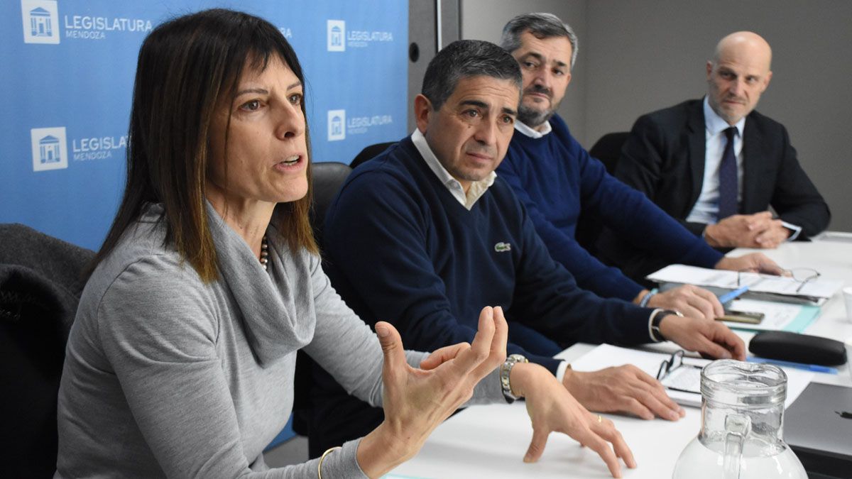 Gabriela Ábalos, jueza y profesora constitucionalista, expuso este mièrcoles en la reunión de la comisión de Legislación y Asuntos Constitucionales.