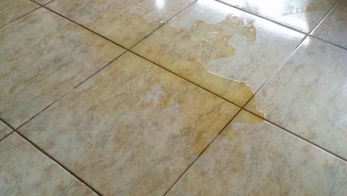 El vinagre limpia manchas, pegotes, restos de comida, orina de mascotas y neutraliza los malos olores. El vinagre limpia manchas, pegotes, restos de comida, orina de mascotas y neutraliza los malos olores. 