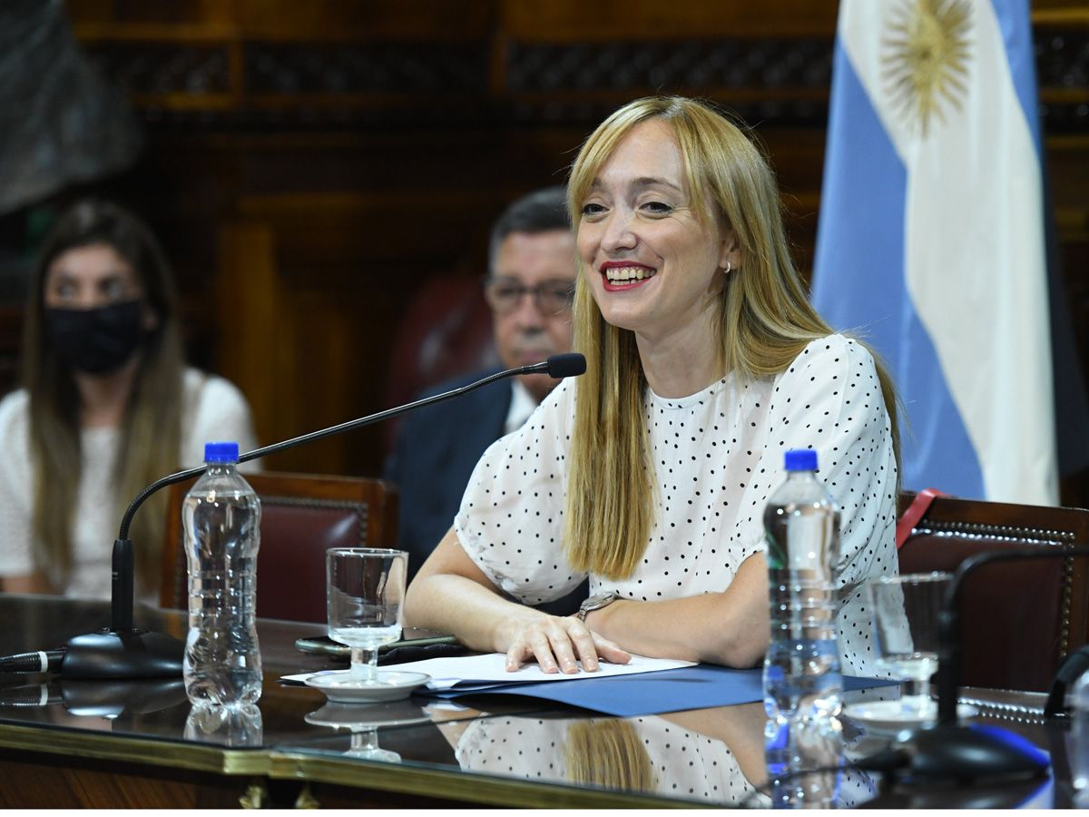 Anabel Fernández Sagastyi, senadora nacional por Mendoza.