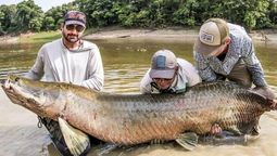 El pez de río más largo del mundo: supera los 3 metros El pez de río más largo del mundo: supera los 3 metros