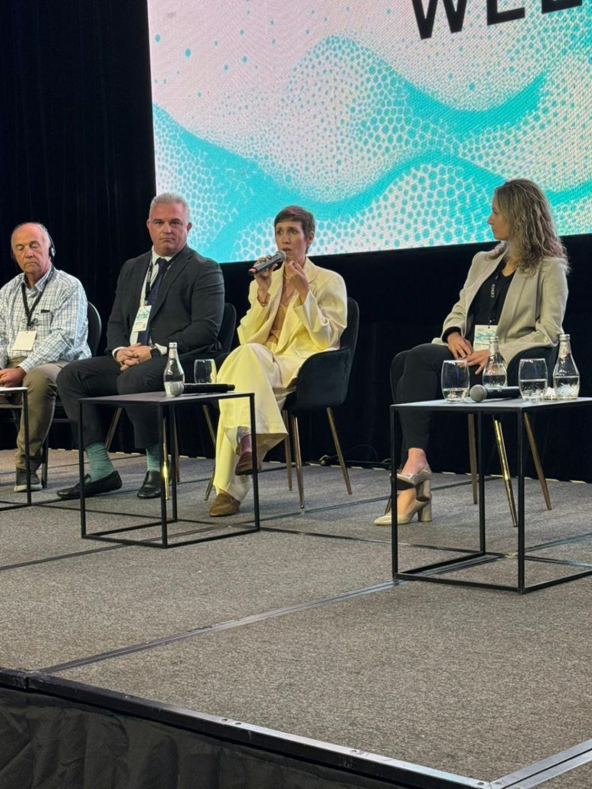 La ministra Jimena Latorre presentó el plan minero de Mendoza en un importante evento del sector. La ministra Jimena Latorre presentó el plan minero de Mendoza en un importante evento del sector.