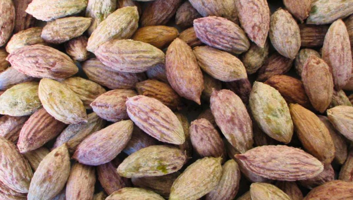 Convertí los carozos en un aislante térmico. Convertí los carozos en un aislante térmico.