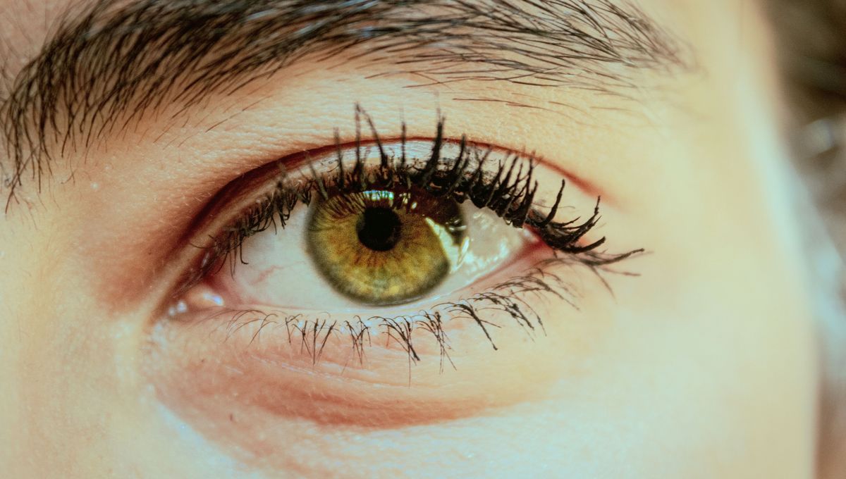 Qué produce los temblores en los ojos. Qué produce los temblores en los ojos.