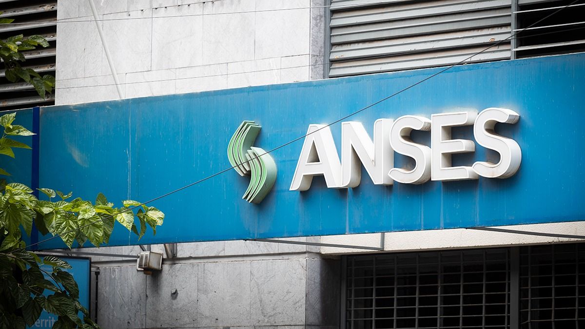 ANSES Y Un AUMENTO Confirmado Para SUAF En FEBRERO