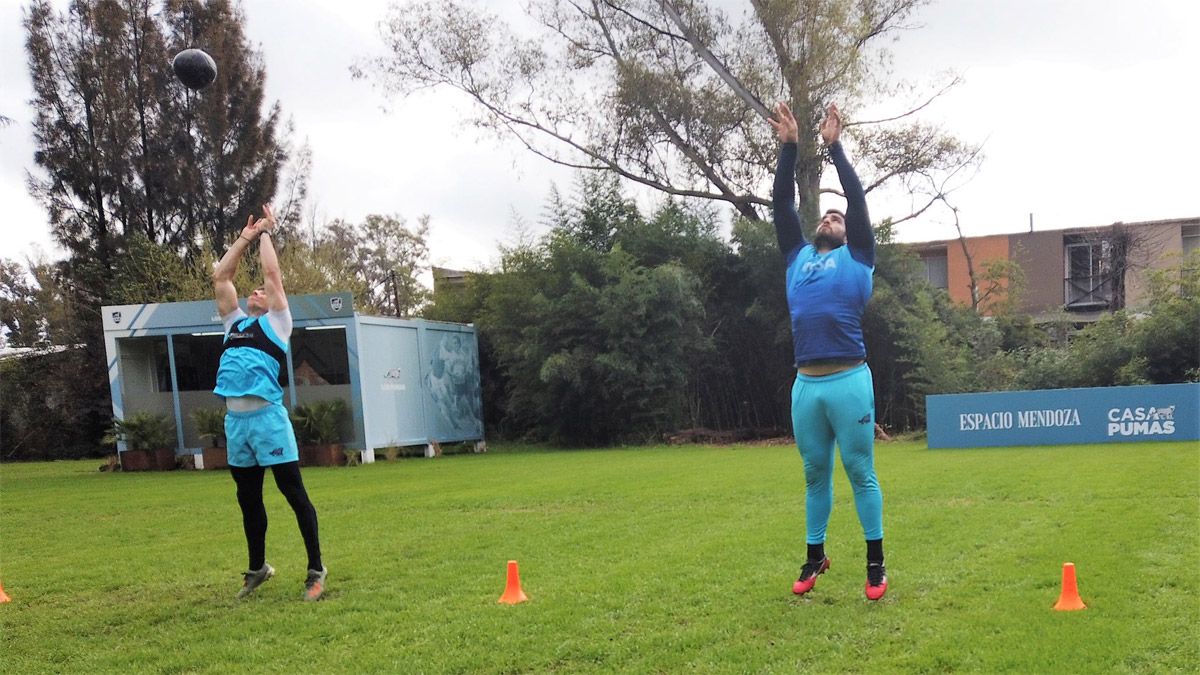 El Rugby Championship, con Los Pumas, se jugará en Australia