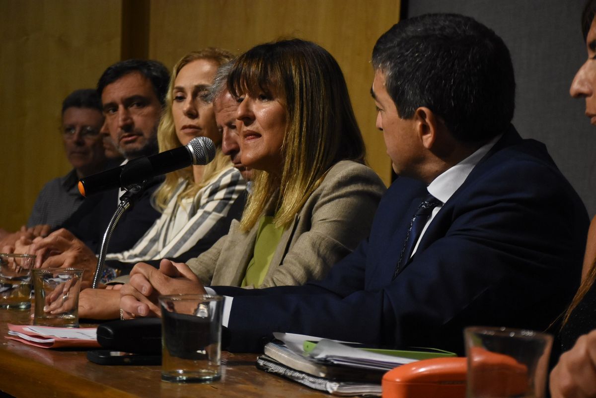 Norma Llatser en la audiencia pública del Senado. Fotos: Prensa del Senado de Mendoza