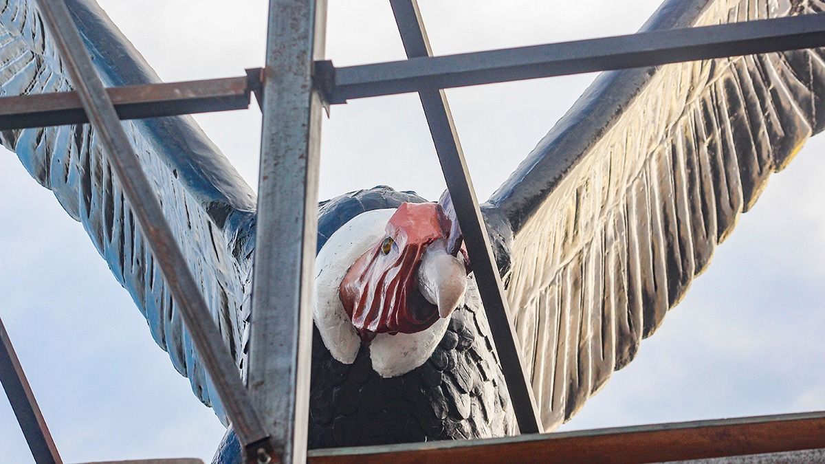 Si bien aún está tapado por los andamios, ya se pueden ver los avances en el color de la figura del Cóndor del Acceso.