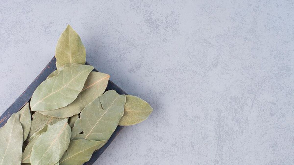 Las hojas de laurel pueden ser utilizadas para repeler a distintas plagas. Las hojas de laurel pueden ser utilizadas para repeler a distintas plagas.