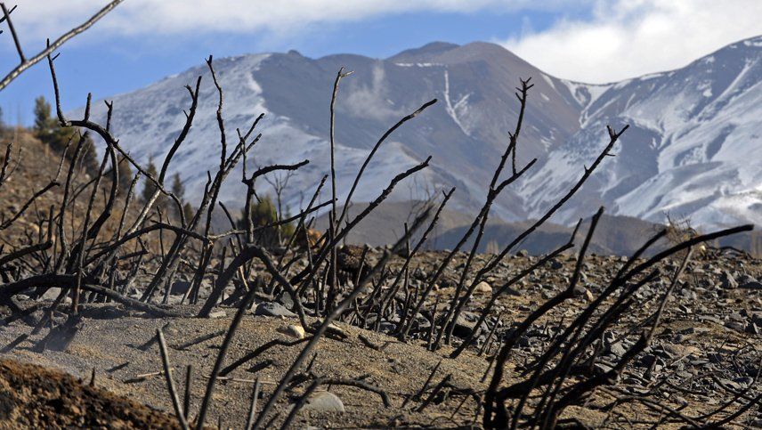 La desolación reina en Potrerillos y piden comida para los animales