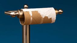 Descubrí cómo reutilizar los tubos de papel higiénico. Descubrí cómo reutilizar los tubos de papel higiénico.