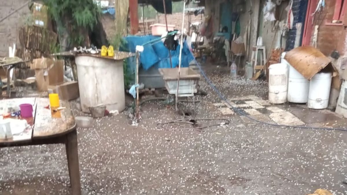 Tormenta: la mamá del niño rescatado en el zanjón pide ayuda