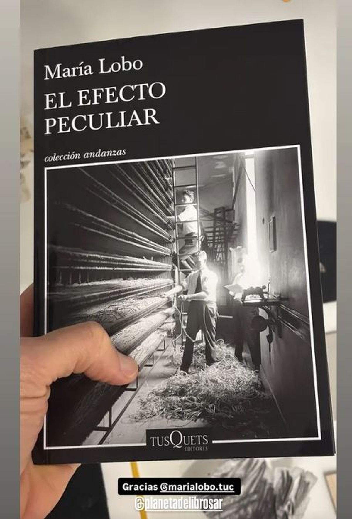 El efecto peculiar, de Mar&iacute;a Lobo.