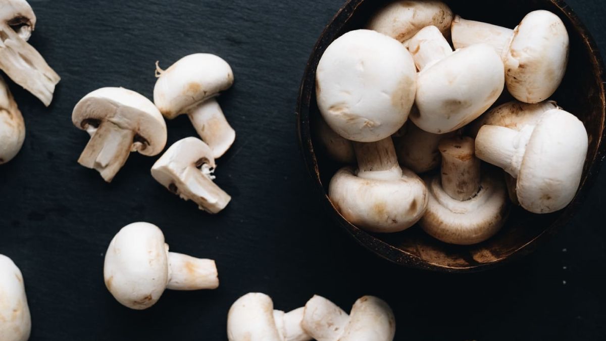 Truco para cultivar hongos champiñones en casa.&nbsp;