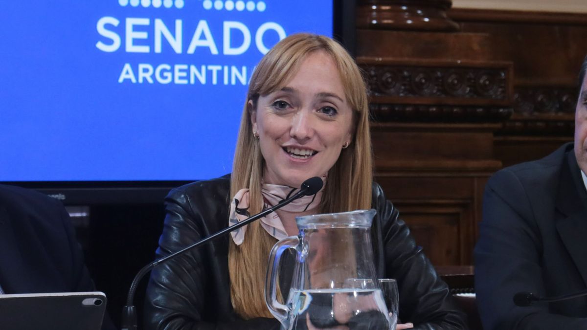 Anabel Fernández Sagasti enfatizó que hay acuerdo interno tras semanas complicadas para el oficialismo.&nbsp;