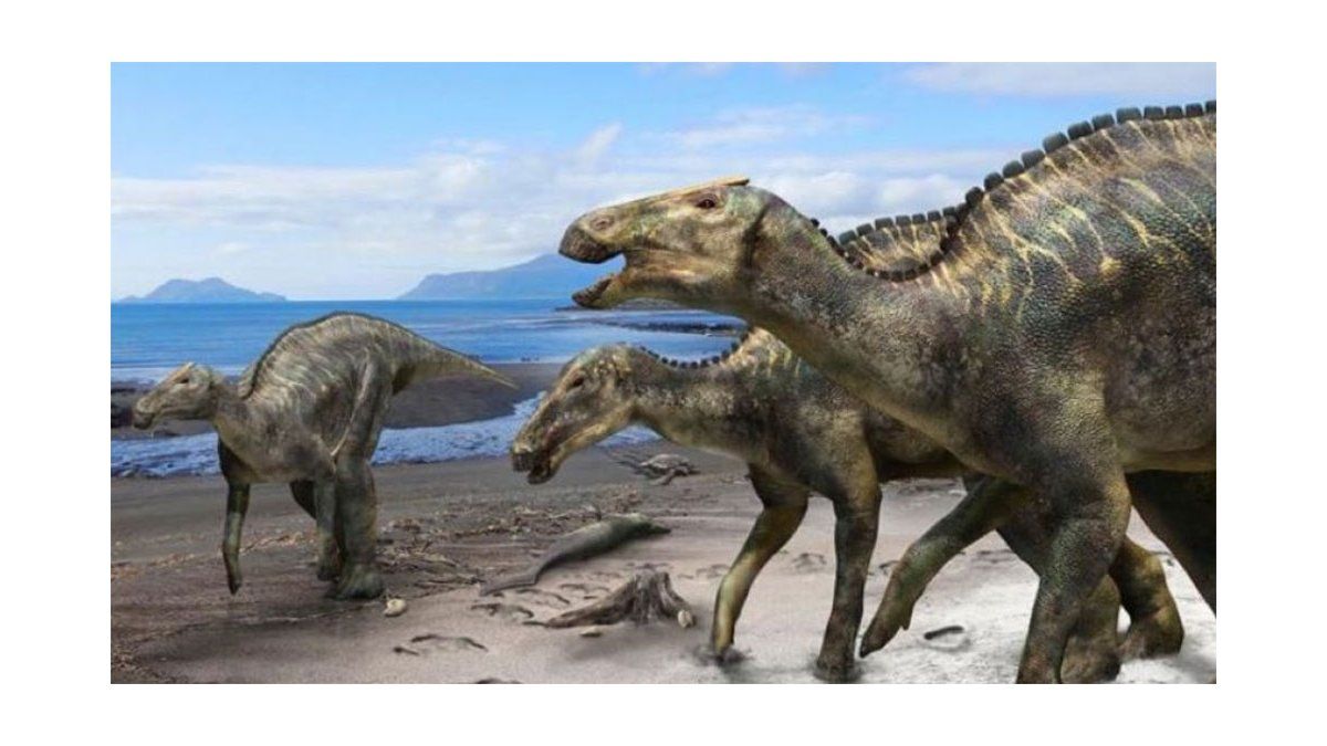 Identificaron Una Nueva Especie De Dinosaurio 7174