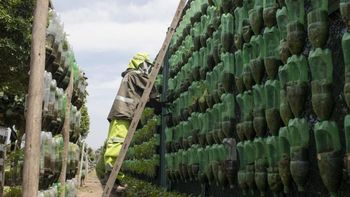 Usaron 14.000 botellas de plástico para la construcción de una huerta que alimenta 24 comedores: es uno de los más grandes de Sudamérica