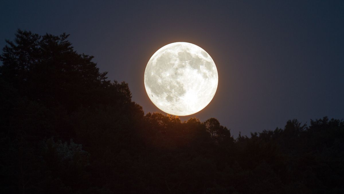Calendario lunar: cuándo habrá luna llena en marzo