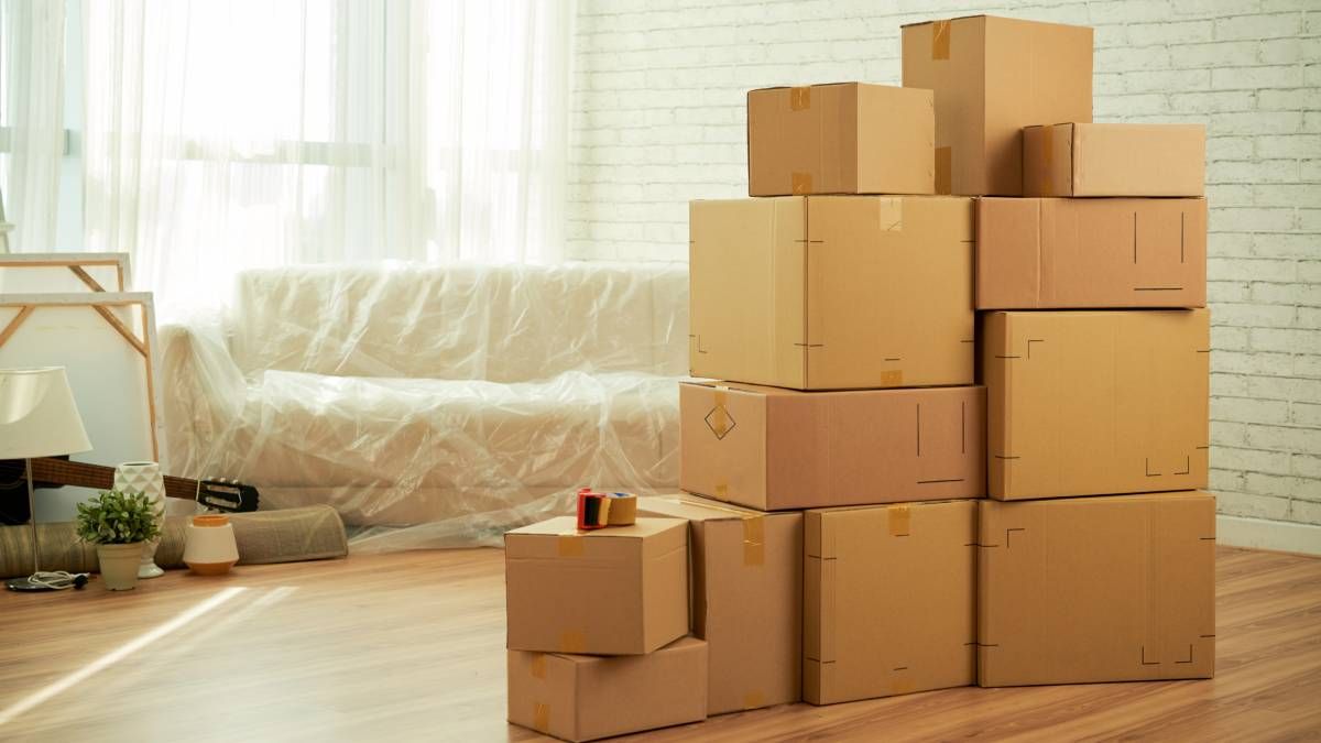 DIY: recicla las cajas de cartón con estas 3 formas originales que servirán en tu hogar