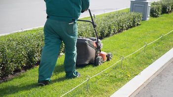 El invento que le sacará el trabajo a muchos jardineros: de qué se trata El invento que le sacará el trabajo a muchos jardineros: de qué se trata