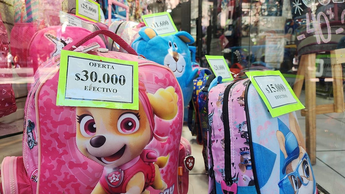 Otras opciones exhibidas en Mendoza, sin carro y para llevar en la espalda por $30.000. Otras opciones exhibidas en Mendoza, sin carro y para llevar en la espalda por $30.000.