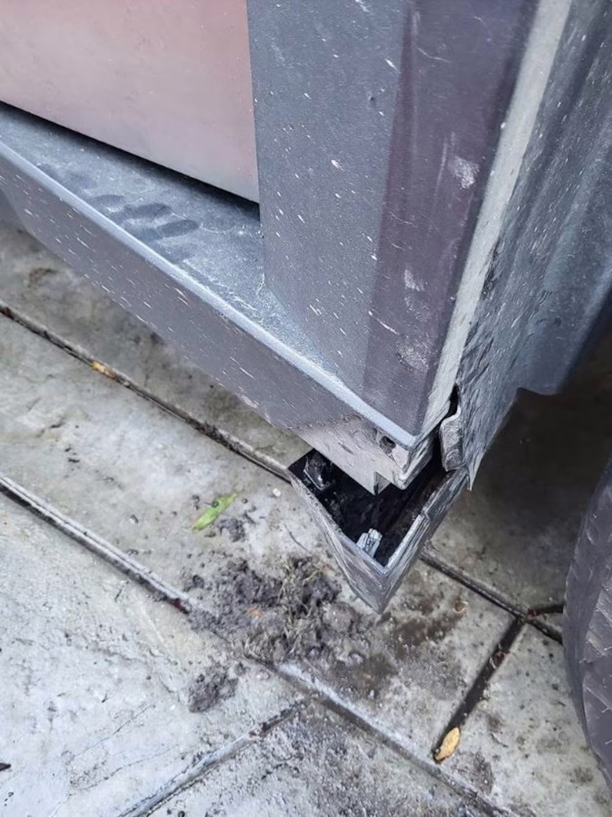 Elon Musk en alerta: Tesla presenta insólito problema en uno de sus vehículos más famosos Elon Musk en alerta: Tesla presenta insólito problema en uno de sus vehículos más famosos