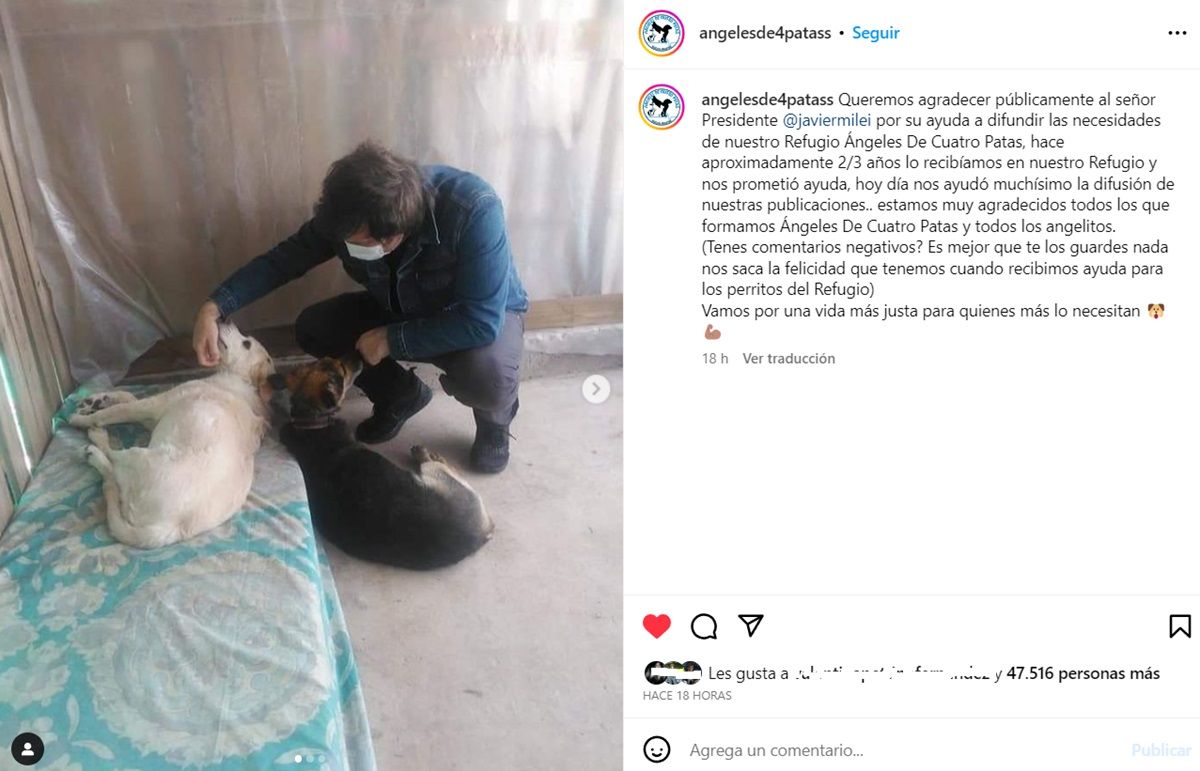 El refugio le agradeció a Javier Milei con un posteo con las fotos que se sacaron cuando estuvo en Mendoza. El refugio le agradeció a Javier Milei con un posteo con las fotos que se sacaron cuando estuvo en Mendoza.