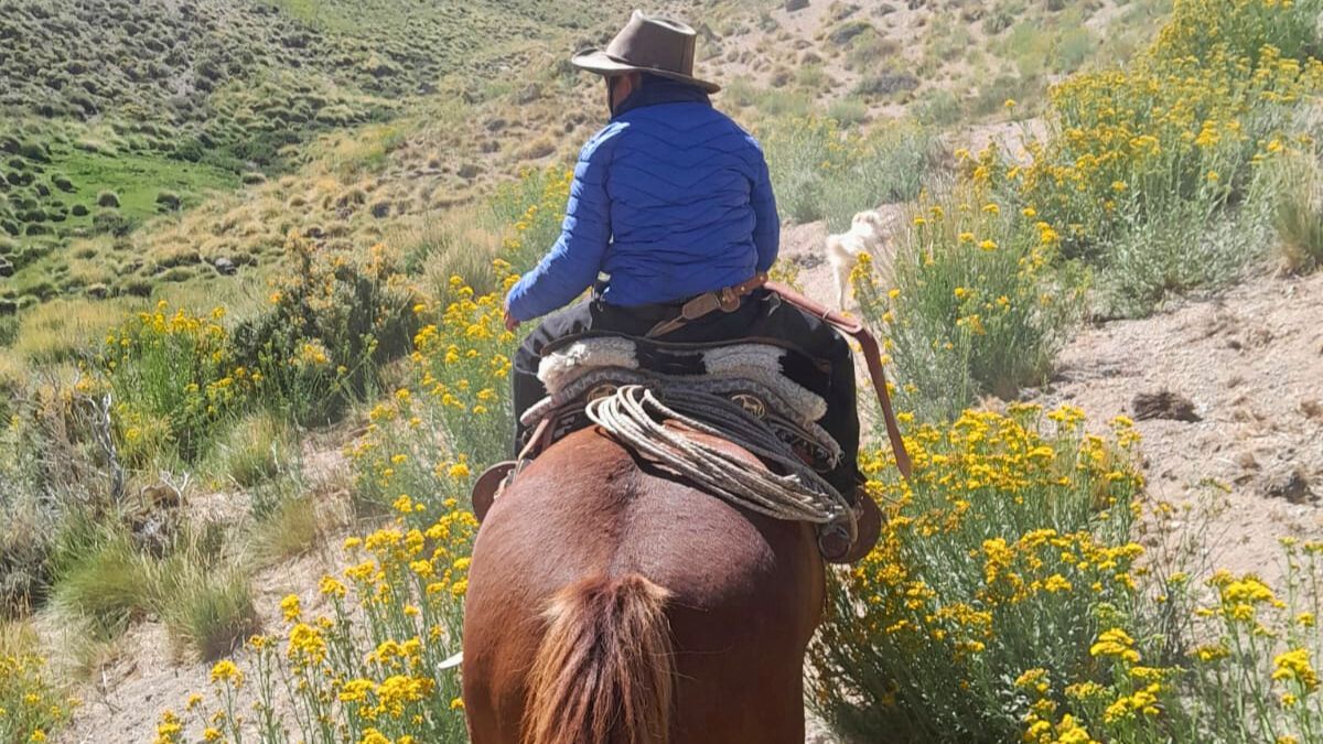 El mejor verano de su vida: entre mates, asados y tortas fritas, Ihan no se despega de las tareas del campo, en Malargüe. El mejor verano de su vida: entre mates, asados y tortas fritas, Ihan no se despega de las tareas del campo, en Malargüe.