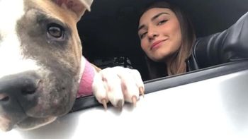 La triste historia de Camila, la perra que murió 2 días después de su dueña