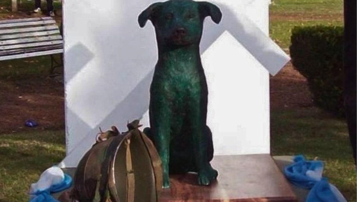 Los soldados bautizaron a su compañero como Tom en referencia a Los soldados bautizaron a su compañero como Tom en referencia a