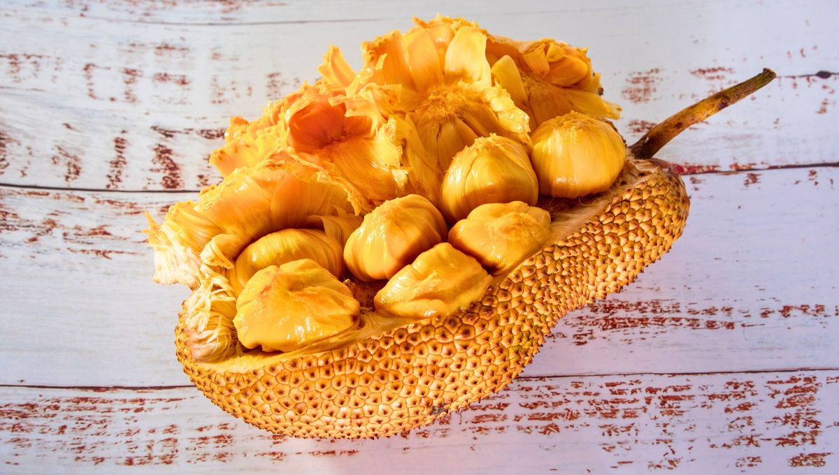 La yaca es una fruta que, cuando está inmadura, se puede cocinar y sumar a un plato de la misma manera que se hace con las verduras. Pero, en el caso de consumirla madura, es posible disfrutarla como un postre fresco y ácido La yaca es una fruta que, cuando está inmadura, se puede cocinar y sumar a un plato de la misma manera que se hace con las verduras. Pero, en el caso de consumirla madura, es posible disfrutarla como un postre fresco y ácido