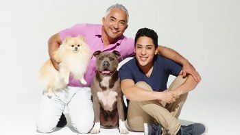 Vuelve el encantador de perros a NatGeo