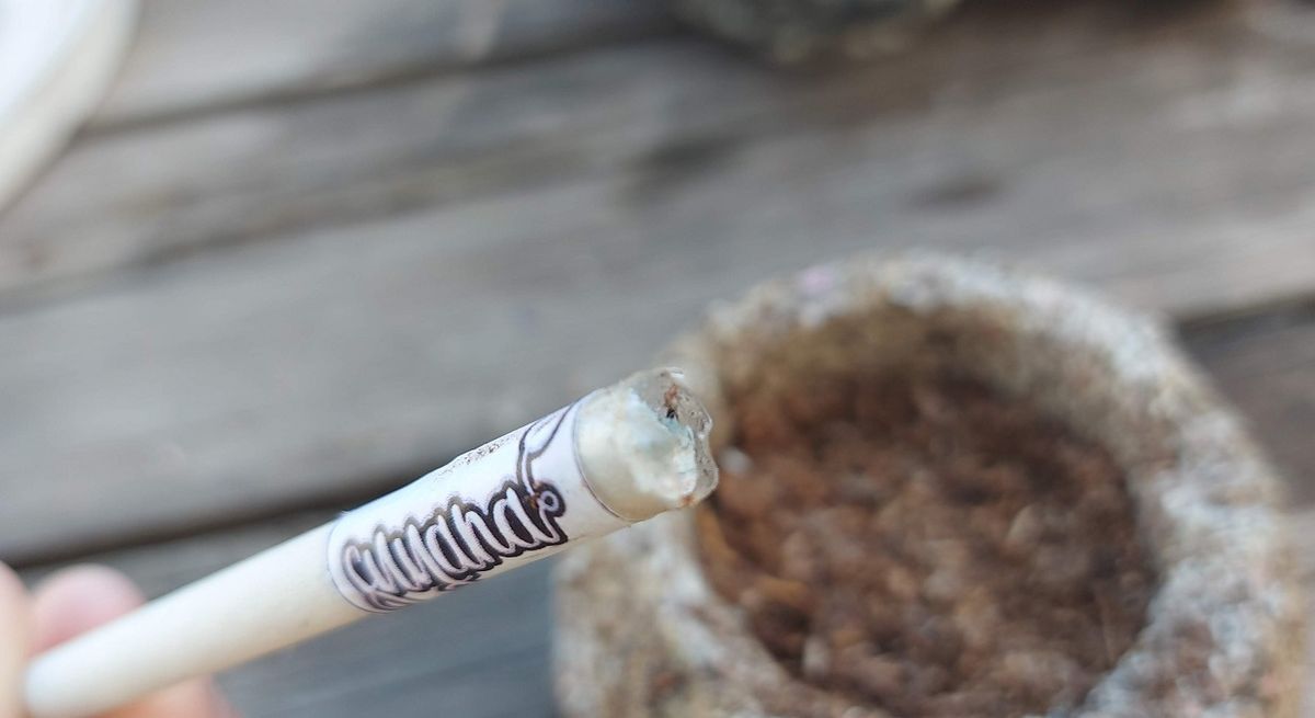 Cuando una persona termina de usar el lápiz, tiene una cápsula biodegradable con semillas y lo puede plantar. Cuando una persona termina de usar el lápiz, tiene una cápsula biodegradable con semillas y lo puede plantar.