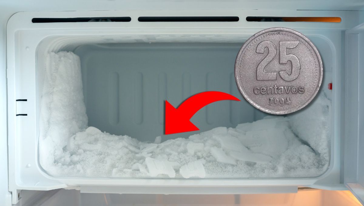 Cómo saber si tu freezer funciona bien: gracias a un truco casero muy llamativo
