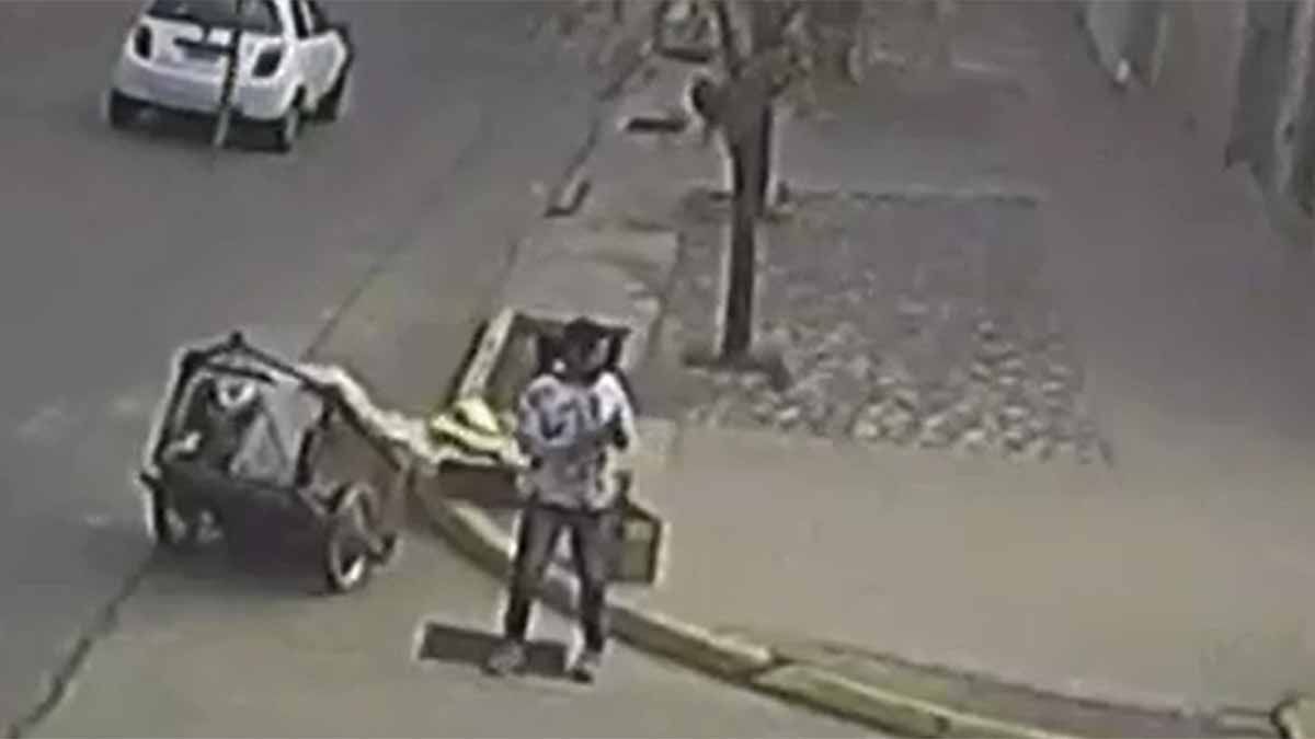 El cartonero esperó el momento justo para llevarse algo más que cartones. 