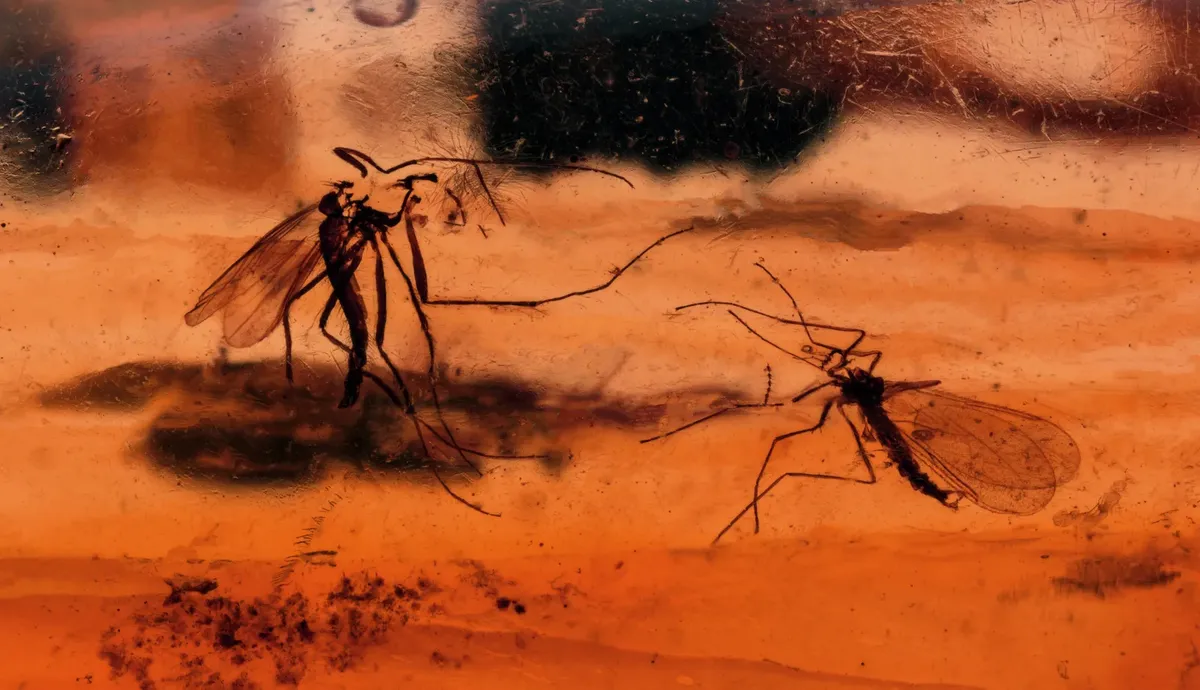 Los científicos quieren replicar los virus milenarios con un experimento tipo Jurassic Park.