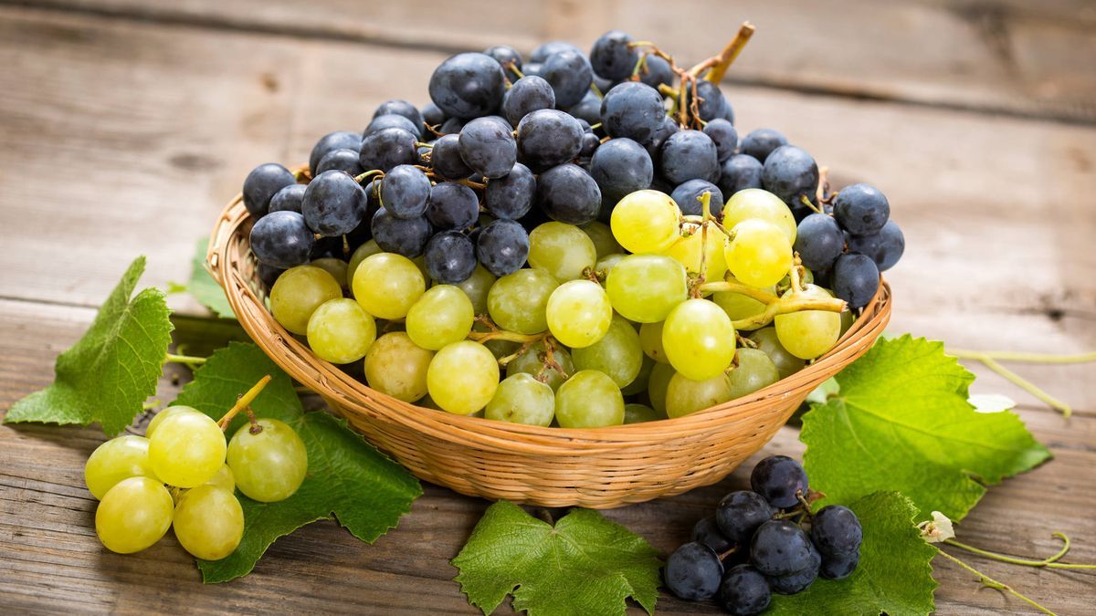 Además de ser deliciosas las uvas ofrecen una gran cantidad de beneficios para la salud. Además de ser deliciosas las uvas ofrecen una gran cantidad de beneficios para la salud.