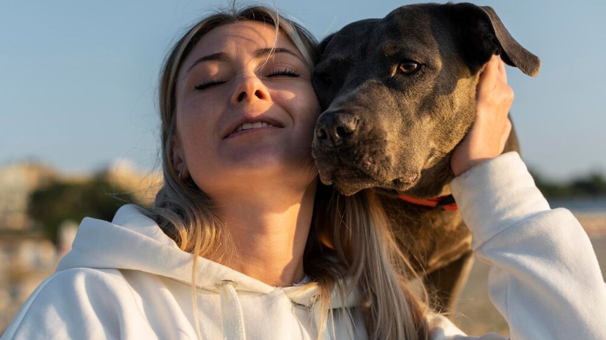 Abrazar a un perro pone en riesgo el vínculo humano-animal. Abrazar a un perro pone en riesgo el vínculo humano-animal.