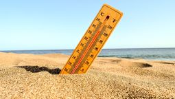 Florida está bajo alerta por las altas temperaturas.