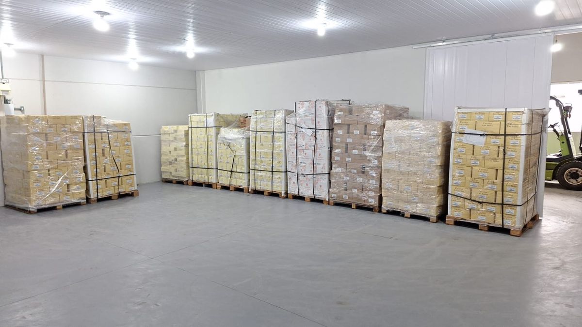 Mendoza tiene una plataforma para la venta y productos frescos en Brasil. Mendoza tiene una plataforma para la venta y productos frescos en Brasil.