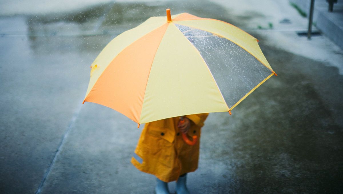 Se cree que el paraguas fue inventado por Lu Mei, una joven que había retado a su hermano a idear algo que les protegiese de la lluvia. Sin embargo, antiguamente era usado por gente con mucho dinero para protegerse del sol y marcar un status. Se cree que el paraguas fue inventado por Lu Mei, una joven que había retado a su hermano a idear algo que les protegiese de la lluvia. Sin embargo, antiguamente era usado por gente con mucho dinero para protegerse del sol y marcar un status.