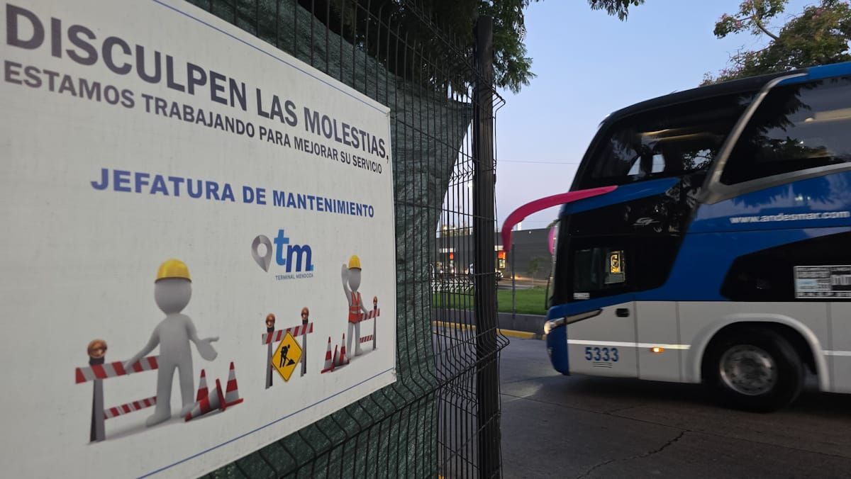 Se espera que en un poco más de un año el ala oeste de la Terminal de Ómnibus esté lista para mendocinos y turistas. Se espera que en un poco más de un año el ala oeste de la Terminal de Ómnibus esté lista para mendocinos y turistas.
