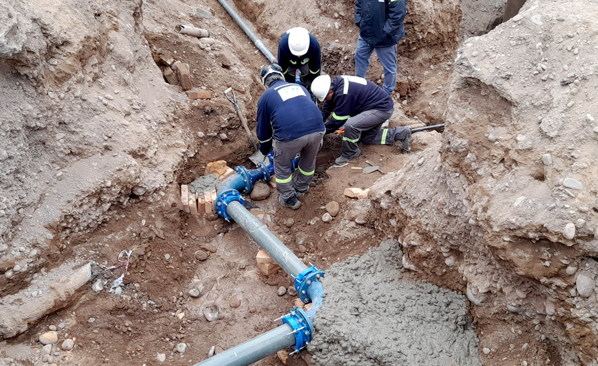 Esta iniciativa responde a la necesidad urgente de intervenir en redes. Esta iniciativa responde a la necesidad urgente de intervenir en redes.