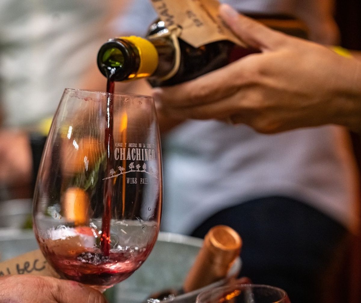 Los días jueves 27 y viernes 28 de noviembre se realizará una nueva edición de Chachingo Wine Fair.
