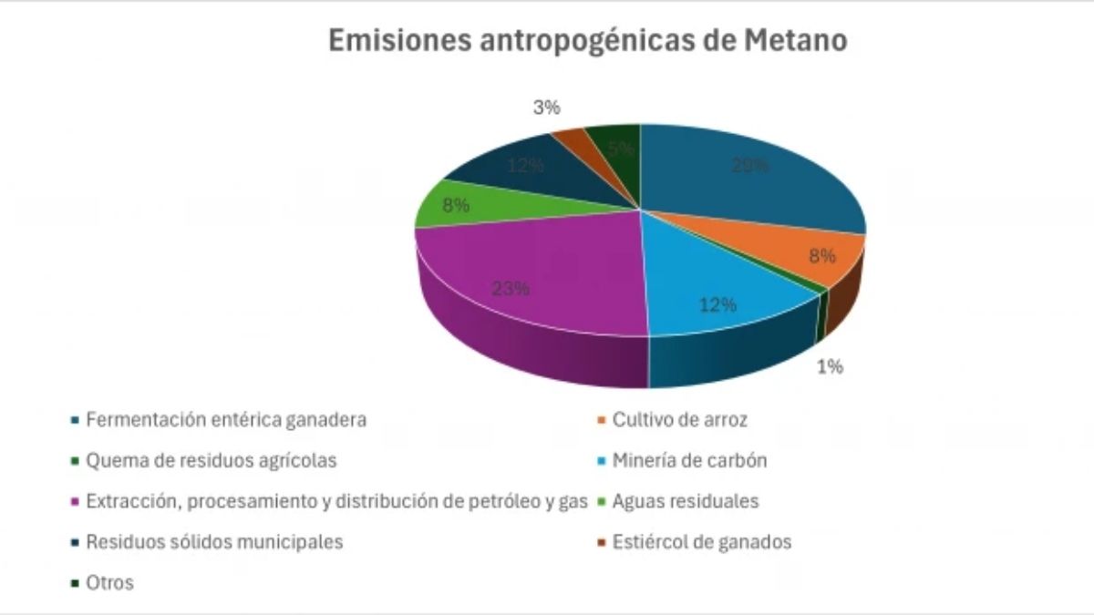 Fuente de los datos: Programa de las Naciones Unidas para el Medio Ambiente y Coalición Clima y Aire Limpio (2021) Fuente de los datos: Programa de las Naciones Unidas para el Medio Ambiente y Coalición Clima y Aire Limpio (2021)