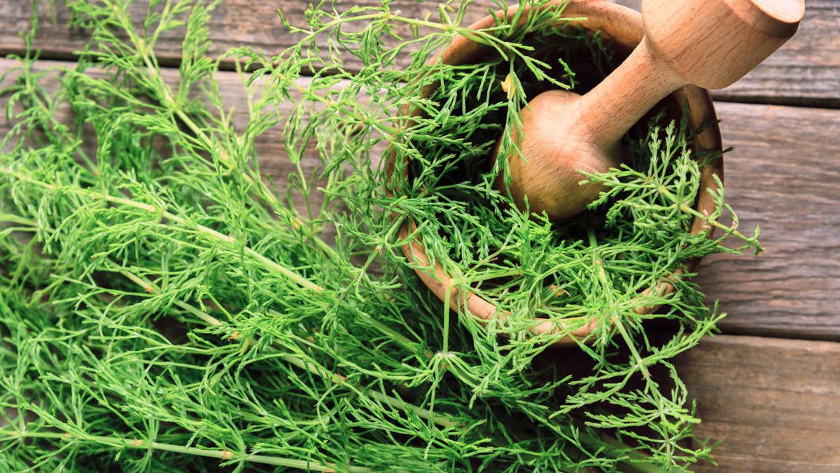 La reconocida infusión que eliminará las caries de tus dientes de forma definitiva La reconocida infusión que eliminará las caries de tus dientes de forma definitiva