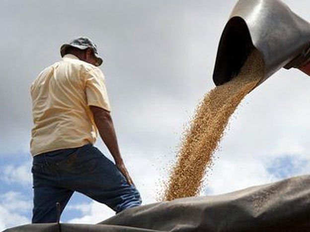 Productores coinciden en crear una agencia estatal que controle la comercialización de granos