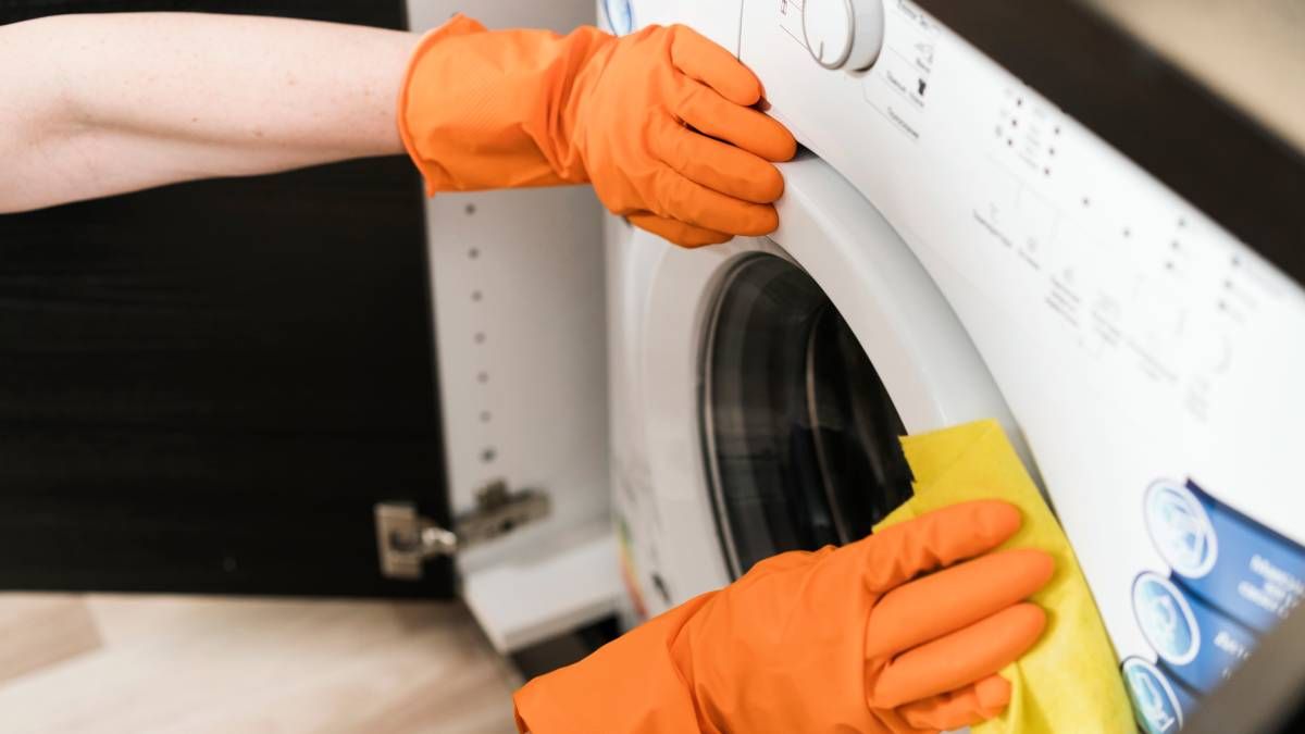 Dile adiós al moho de la goma del lavarropas en menos de 30 minutos Dile adiós al moho de la goma del lavarropas en menos de 30 minutos