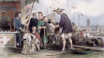 Nuevo descubrimiento: China podría haber sido el hogar de los primeros felinos domésticos Nuevo descubrimiento: China podría haber sido el hogar de los primeros felinos domésticos